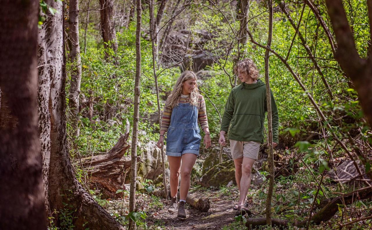 Ernie Cabin Wauhatchie Woodlands Tiny Cabin Chattanooga Esterno foto